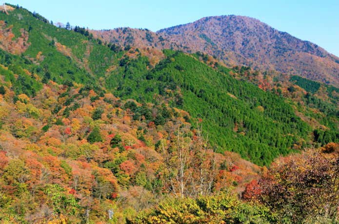 御正体山の紅葉