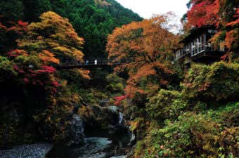 渓谷　紅葉