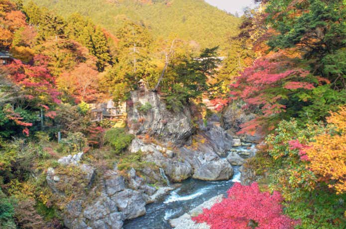 鳩ノ巣渓谷の紅葉