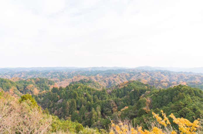 大福山・梅ケ瀬コース