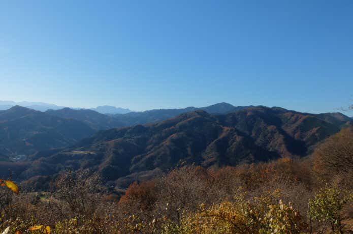 宝登山 景色