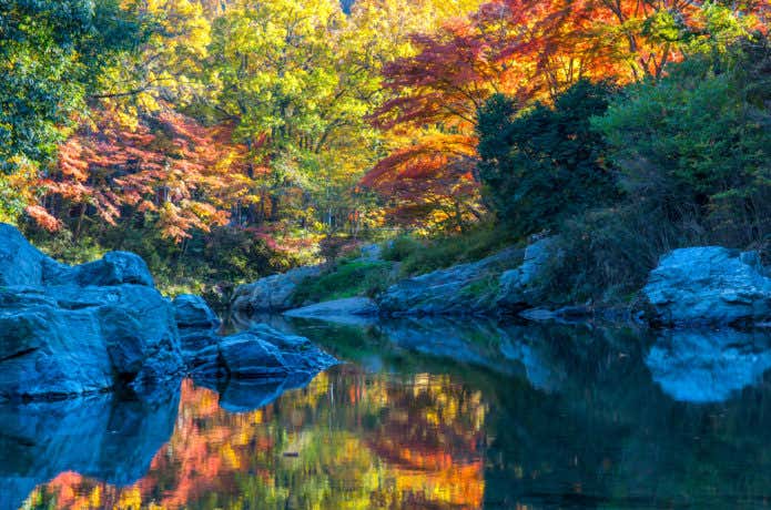 嵐山渓谷(埼玉)の紅葉