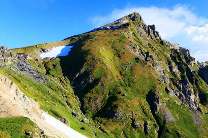 杓子岳登山道から見る朝の白馬岳山頂