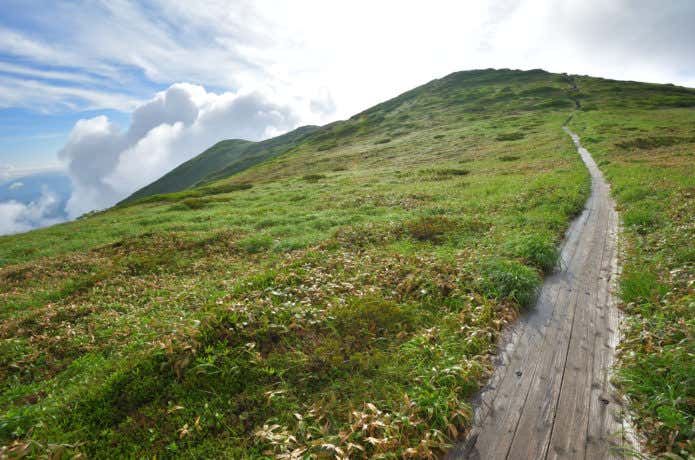 平標山から仙ノ倉山にかけての木道