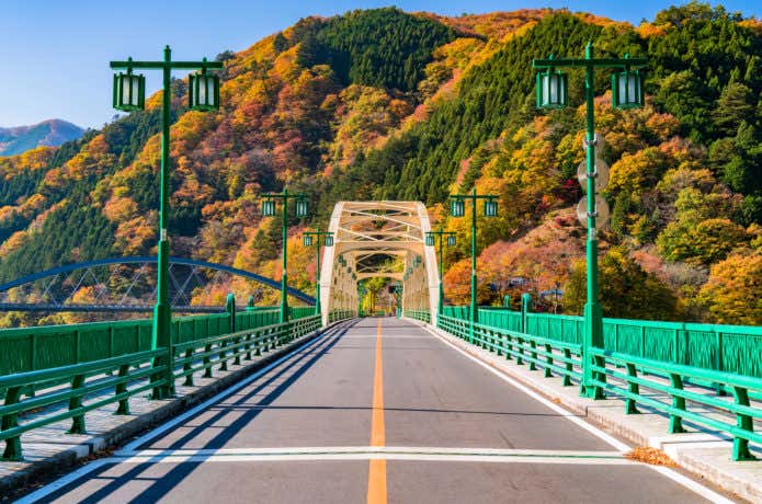紅葉する山とサイクリングコース