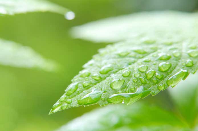 雨の登山