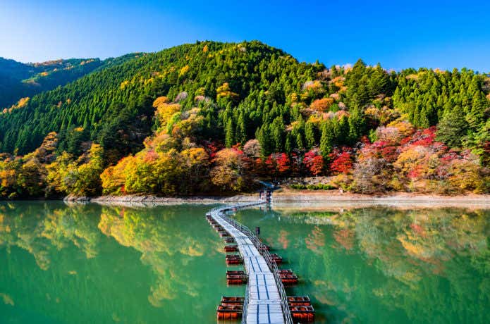 麦山の浮橋
