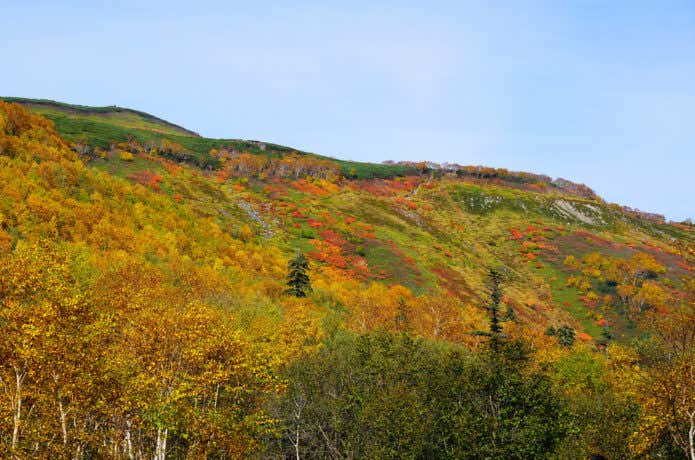 北海道 銀泉台 紅葉