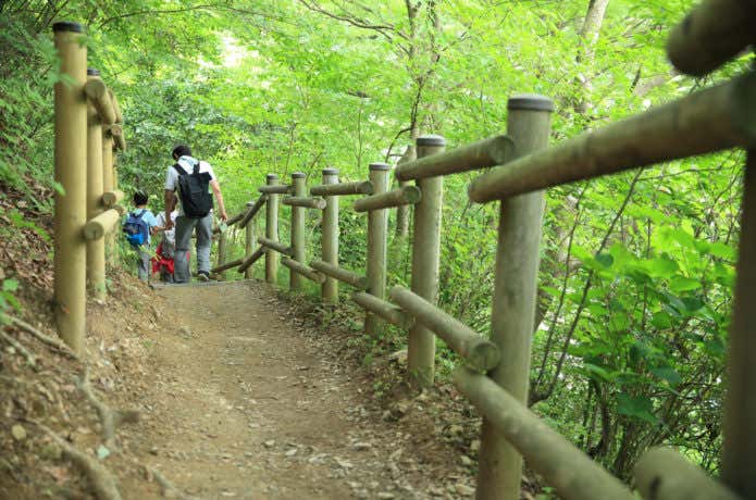 知識ゼロからの山歩き入門 | 小倉 董子 |本 | 通販 | Amazon
