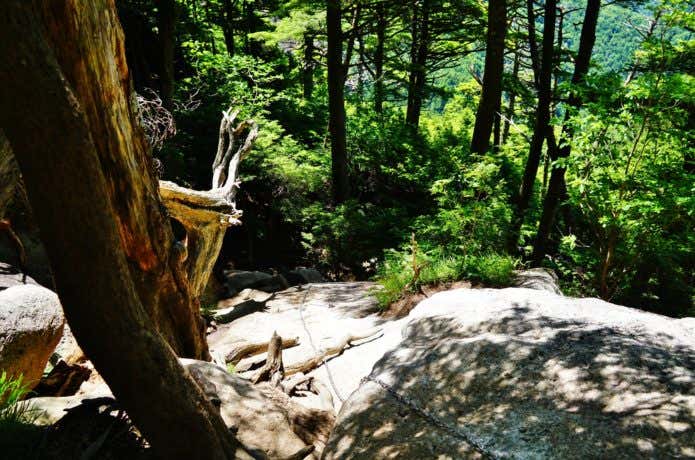 登山道の鎖場