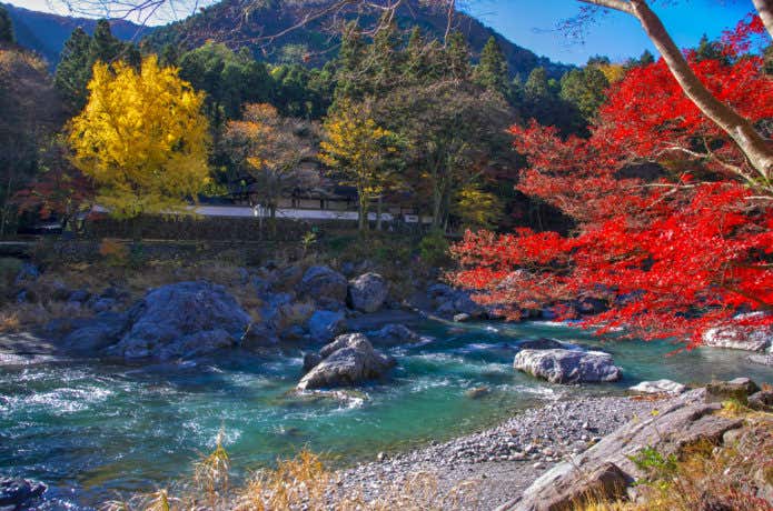 紅葉の御岳渓谷