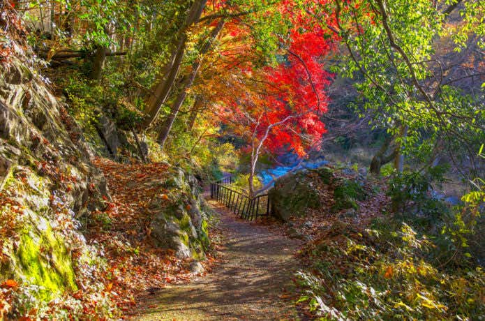 紅葉の御岳渓谷遊歩道