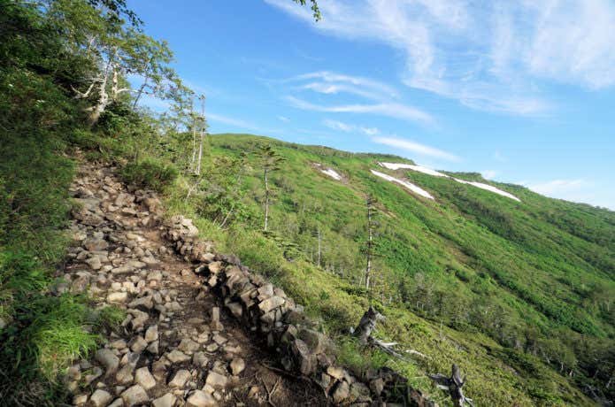 銀泉台~駒草平までの登山道