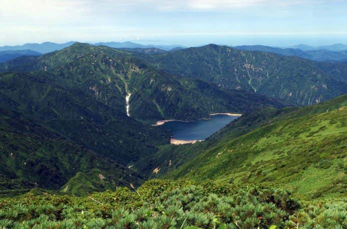大鳥池
