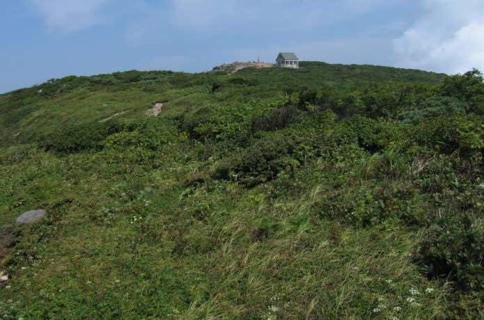 船形山山頂