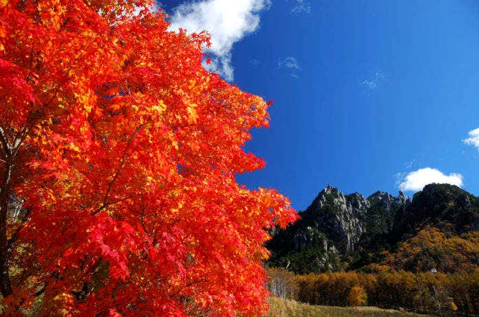 紅葉の瑞牆山