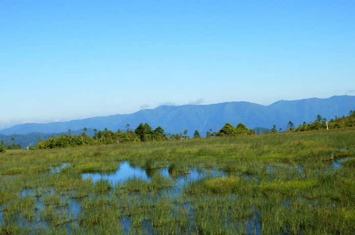 田代山湿原