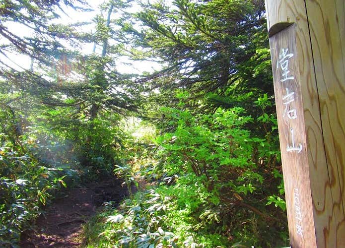 堂岩山山頂