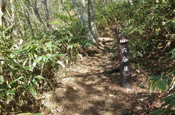 蒜山 登山