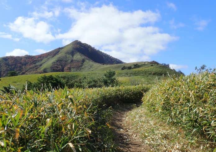 蒜山 登山道