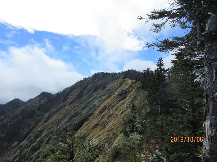 佐武流山