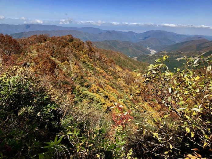 金剛堂山の紅葉