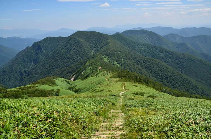仙ノ倉山からの階段