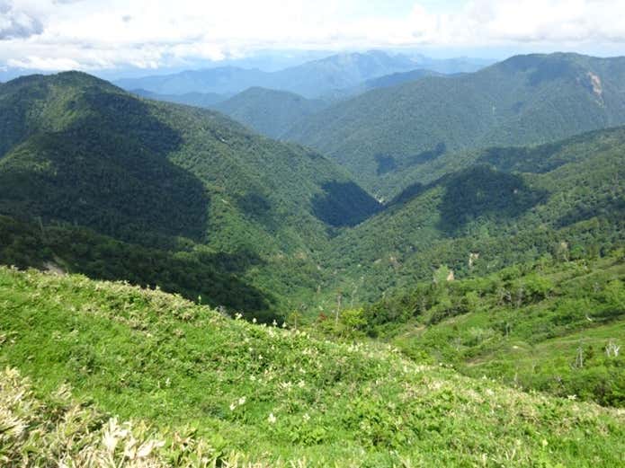 佐武流山　花畑