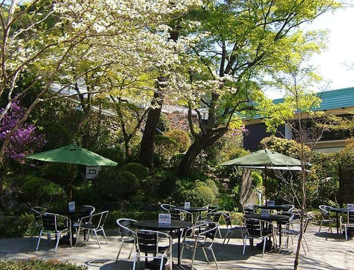 澤乃井園