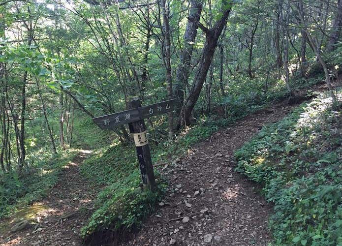 地蔵峠の分岐