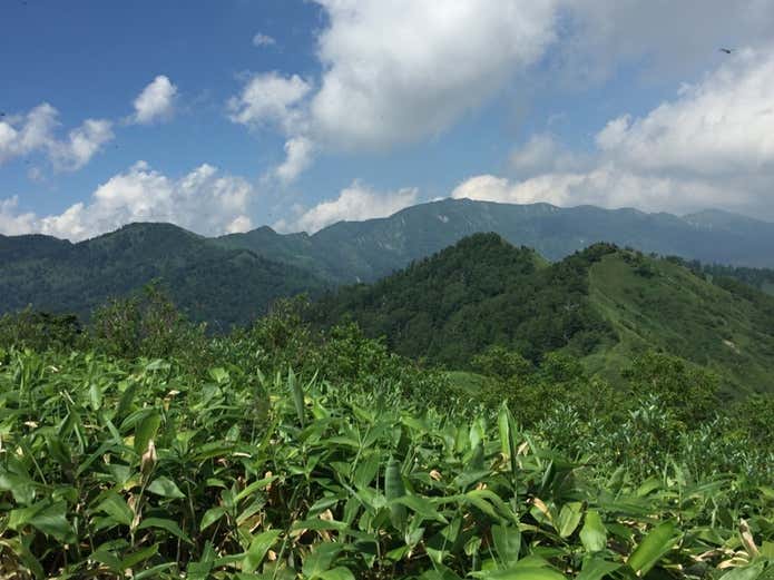 八間山から見る白砂山