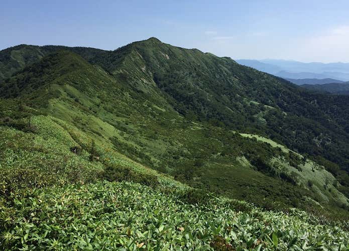 白砂山に向かう稜線
