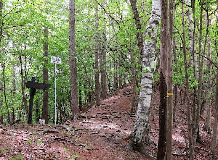 白岩コース登山道