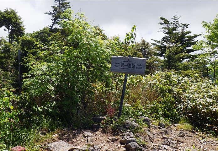 第一高原