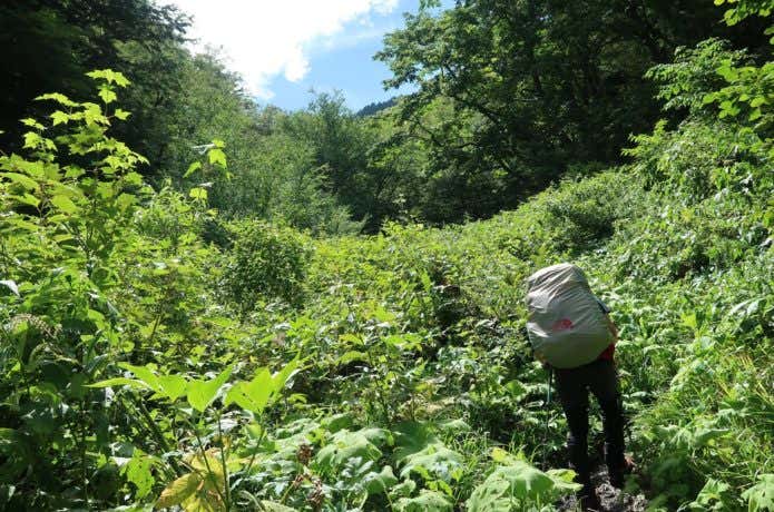 登山道