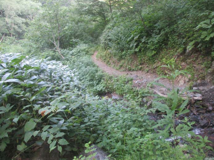登山道
