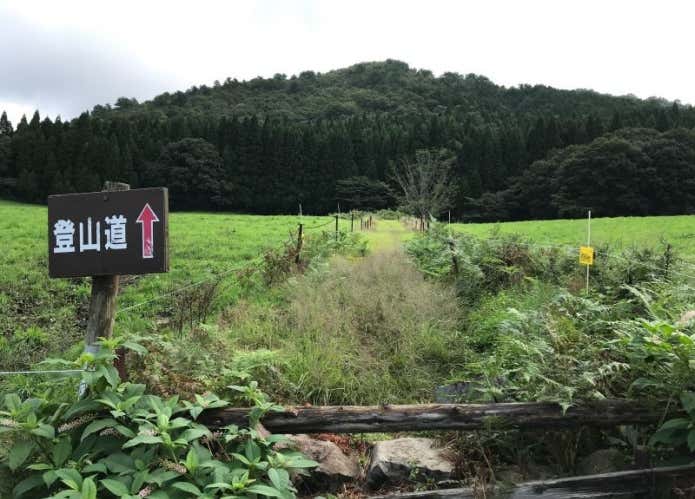 上蒜山 登山道