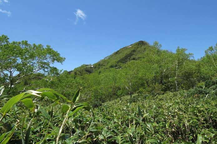 空沼岳方面から見た札幌岳