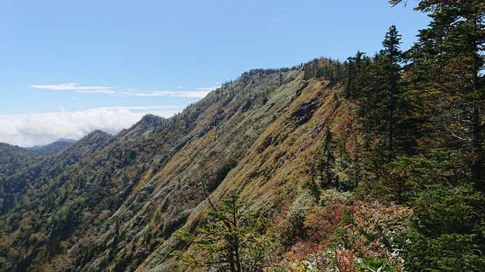 佐武流山