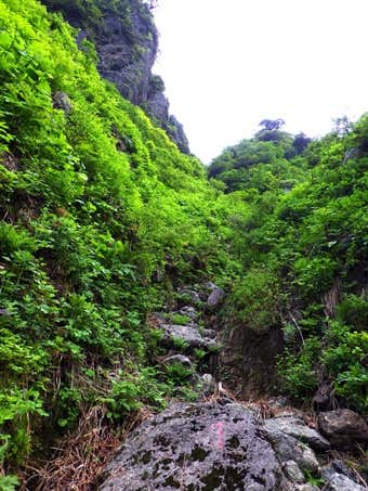 枯れ沢(両岸ノ沢)