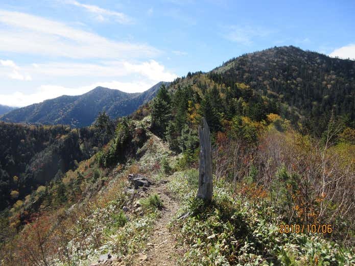 佐武流山　ヤセ尾根 