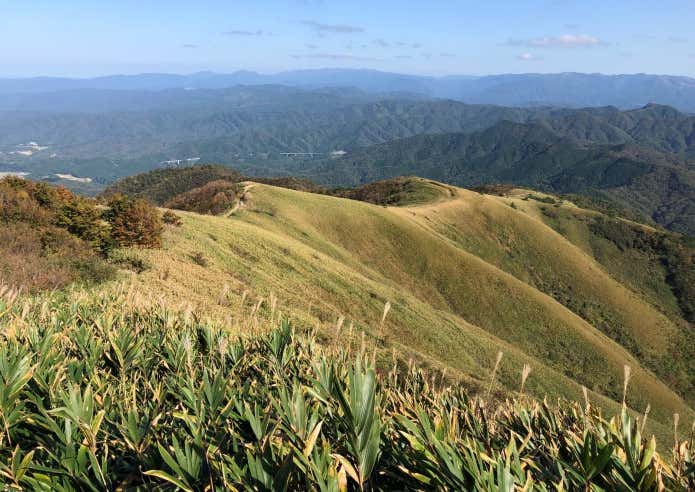 蒜山 登山 稜線