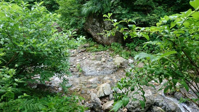 3合目終盤の生金沢