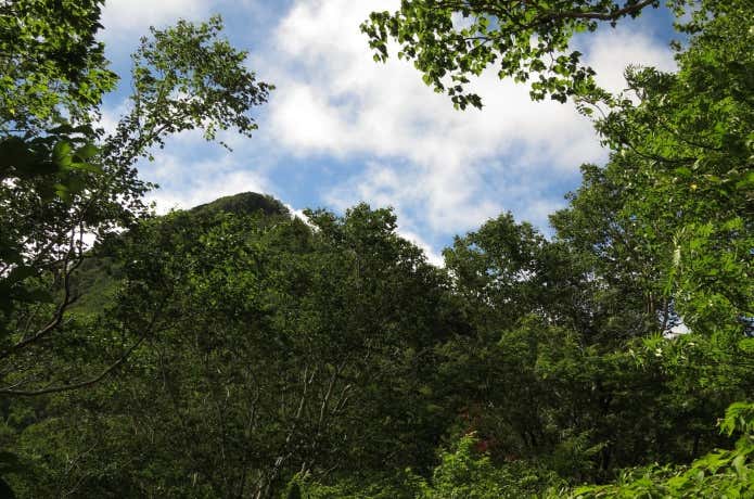 分岐からの札幌岳