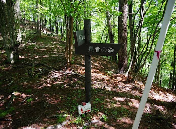 長者の森コースとの分岐