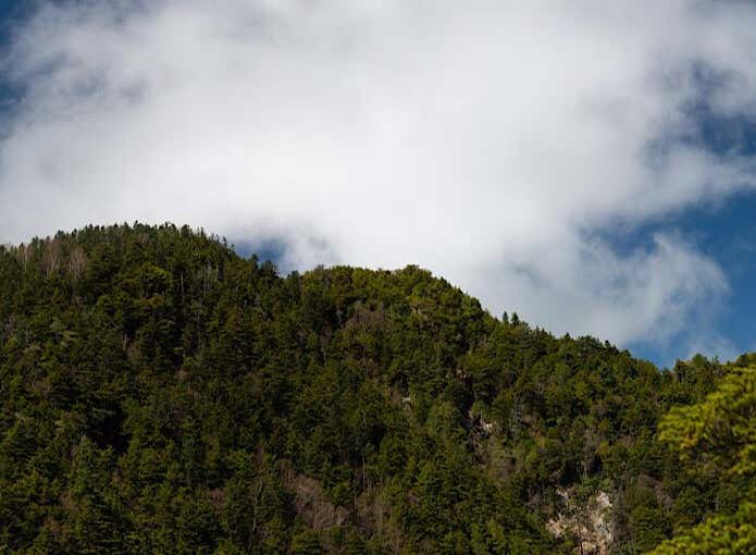 前衛峰から見る御座山