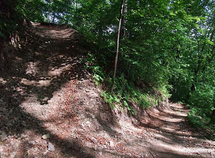 長者の森コース登山道