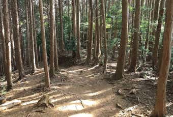 道