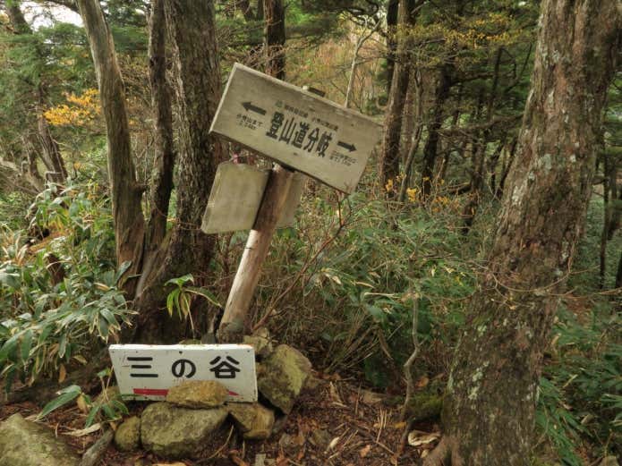 分岐