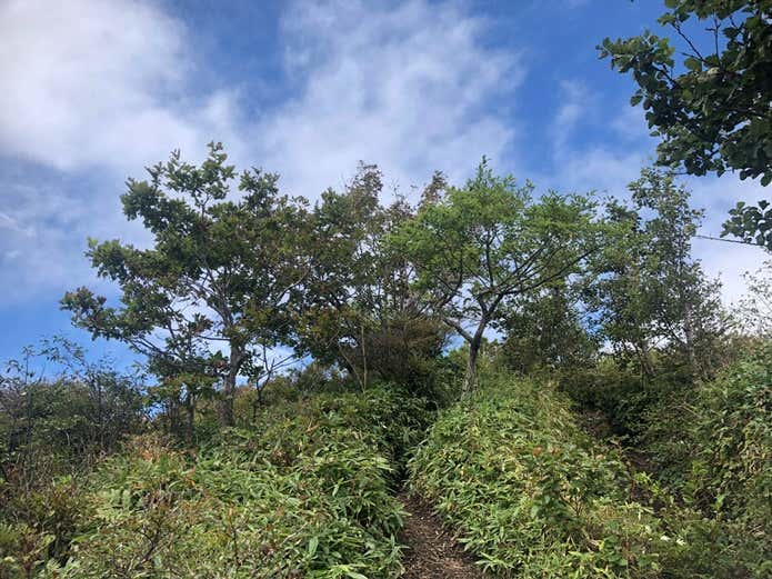 浅間隠山参照付近